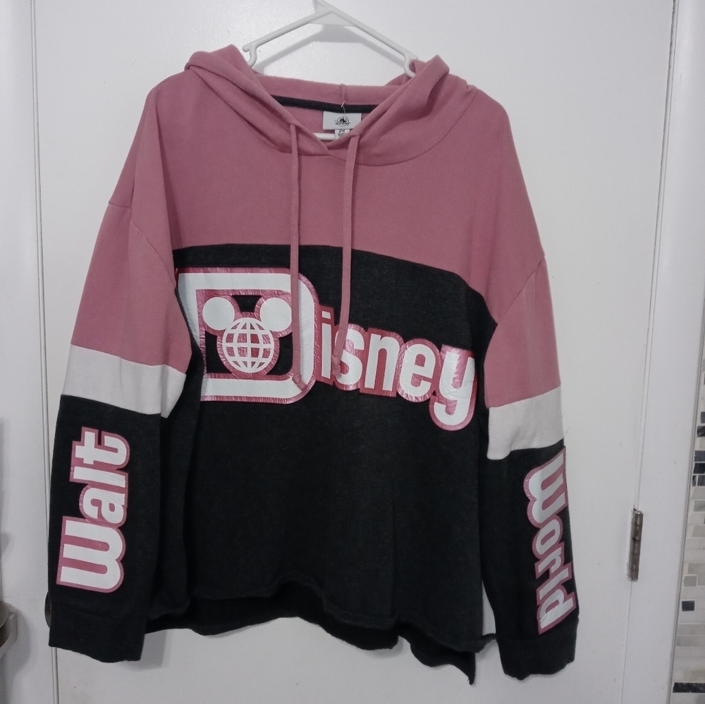 Walt Disney World Pullover Fleece Spirit jersey Spellout Hoodie Gray pink 2X
